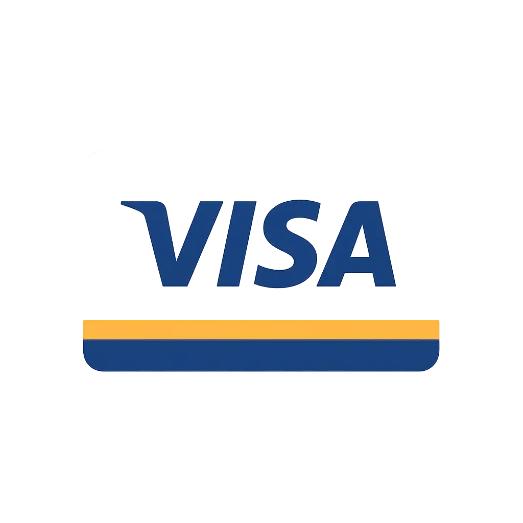 Visa payment icon